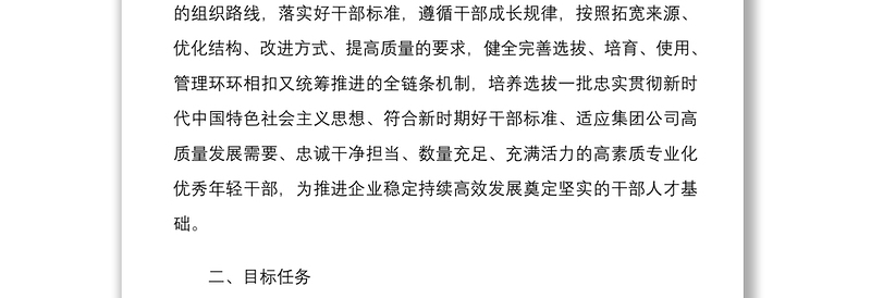 关于适应新时代要求大力发现培养选拔优秀年轻干部的规划工作方案