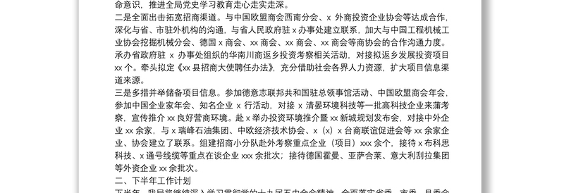 县投资促进局关于上半年工作总结和下半年工作计划的报告