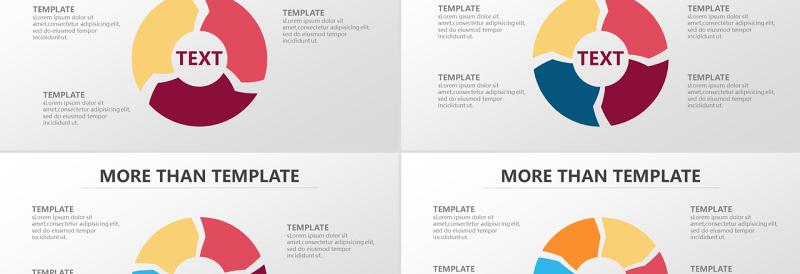 精美圆环形流程图PPT图表