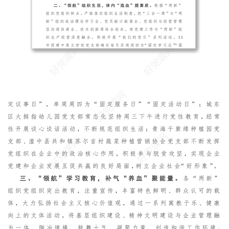 开展党员教育“领航计划”工作总结