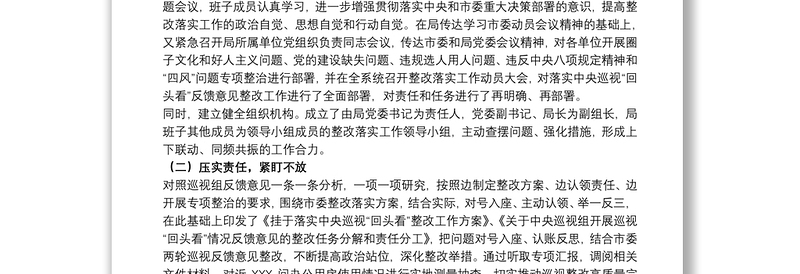 关于20xx年落实巡视“回头看”反馈问题的整改工作报告范文