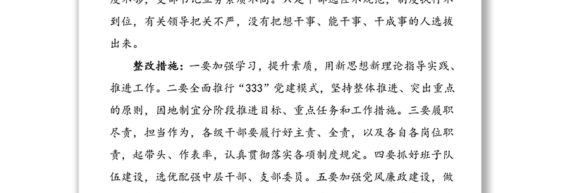 “333”党建模式自查报告（存在问题、整改措施）