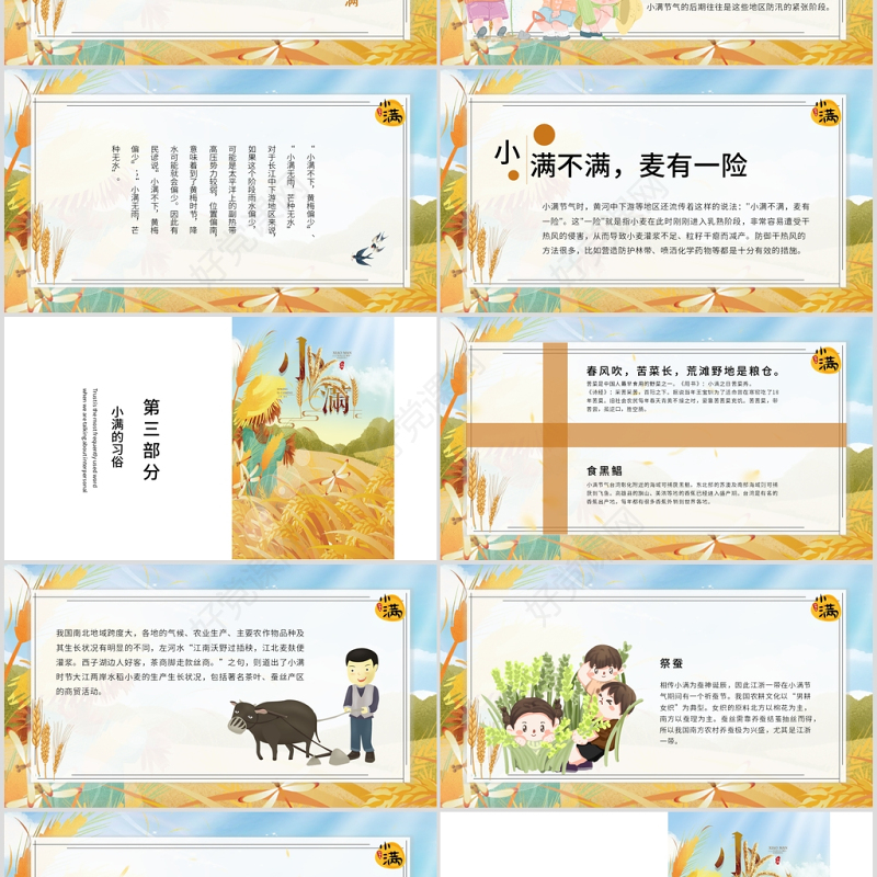 简约麦穗二十四节气之小满ppt模板