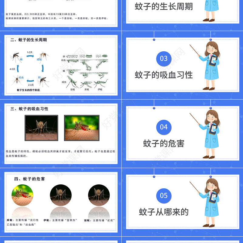 2022医疗预防登革热防蚊灭蚊主题班会PPT清新创意医疗主题班会通用PPT模板下载