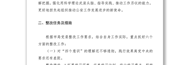 2021主题教育个人检视问题整改落实方案及整改台帐(市公安局)