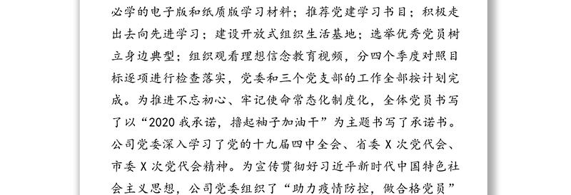 强化党建责任打造“红色引擎”全力驱动民营企业经济强劲发展-向市委党建工作调研组的专题汇报