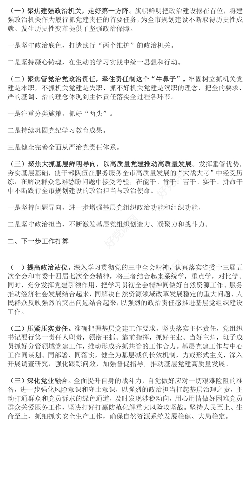 局党组2024年落实全面从严治党主体责任情况报告下载