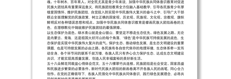 2021年学习民族工作会议精神研讨发言材料范文(通用9篇)