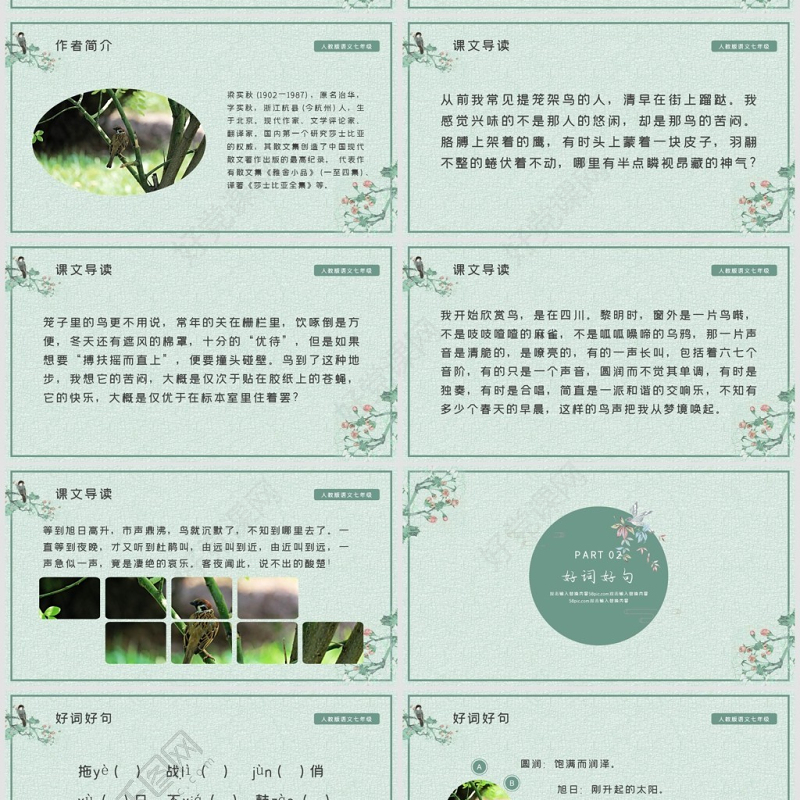 人教版初七年级语文鸟PPT课件