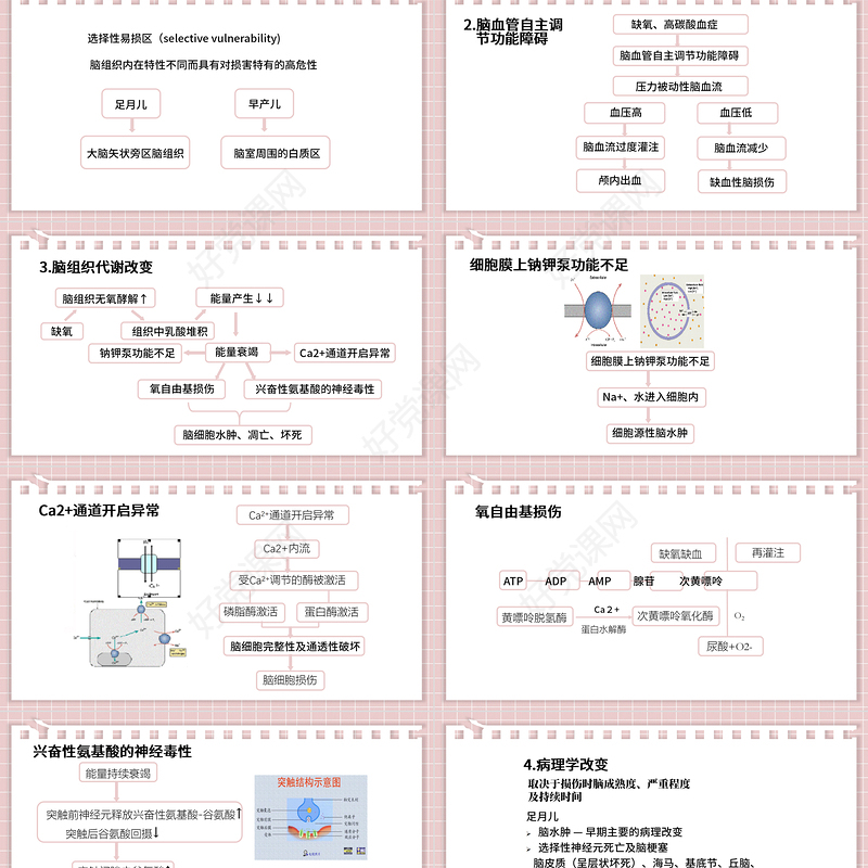 2022新生儿缺氧缺血性脑病PPT创意清新医疗教学各种疾病医理PPT模板