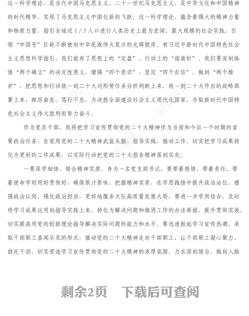 党支部书记学习党的二十大报告精神交流座谈会发言