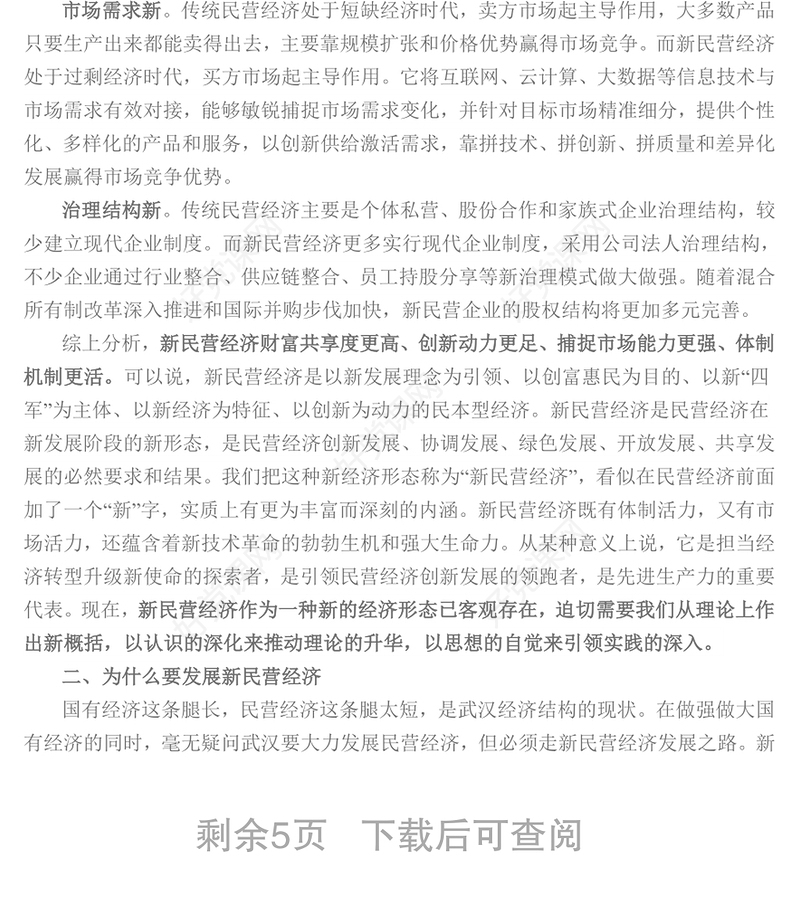 新民营经济是发展新经济的主导力量