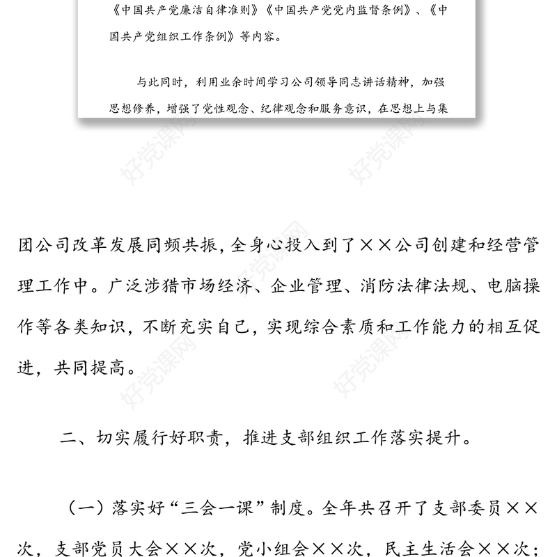党支部副书记述职述廉报告