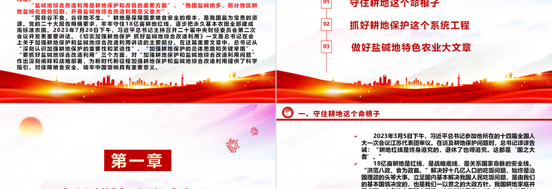 “像保护大熊猫一样保护耕地”ppt大气简洁耕地是保障国家粮食安全的根本党组织专题教育党课课件