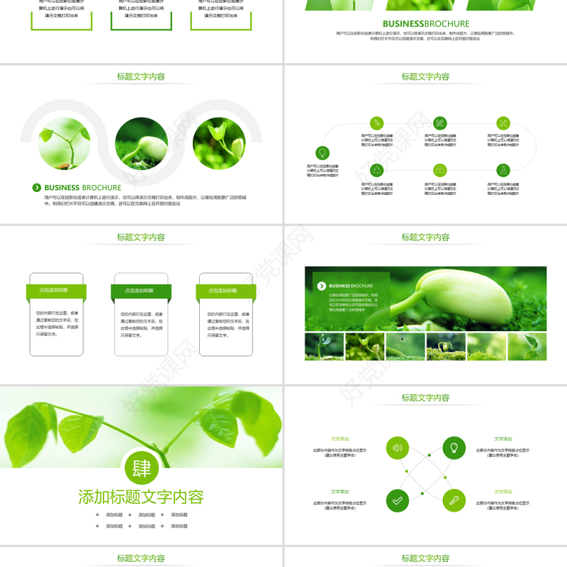 原创唯美绿色植物发芽植物生长敬畏生命PPT模板-版权可商用