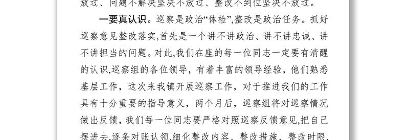 巡察动员会表态发言(镇)