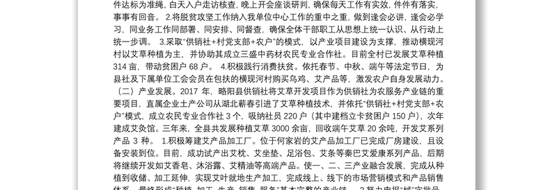 略阳县供销合作社联合社“十三五”期间重点工作总结及“十四五”工作计划