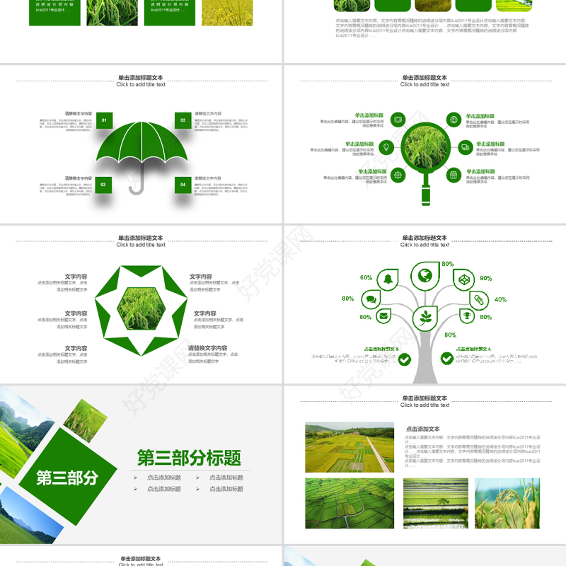原创绿色农田稻田水稻梯田绿洲农业生产PPT模板-版权可商用