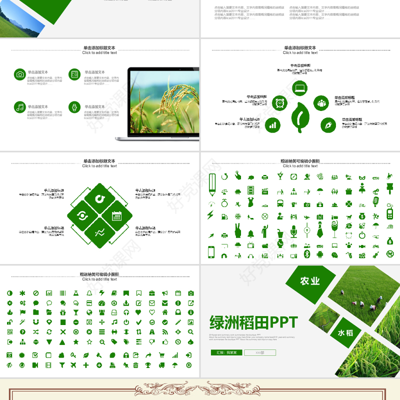 原创绿色农田稻田水稻梯田绿洲农业生产PPT模板-版权可商用