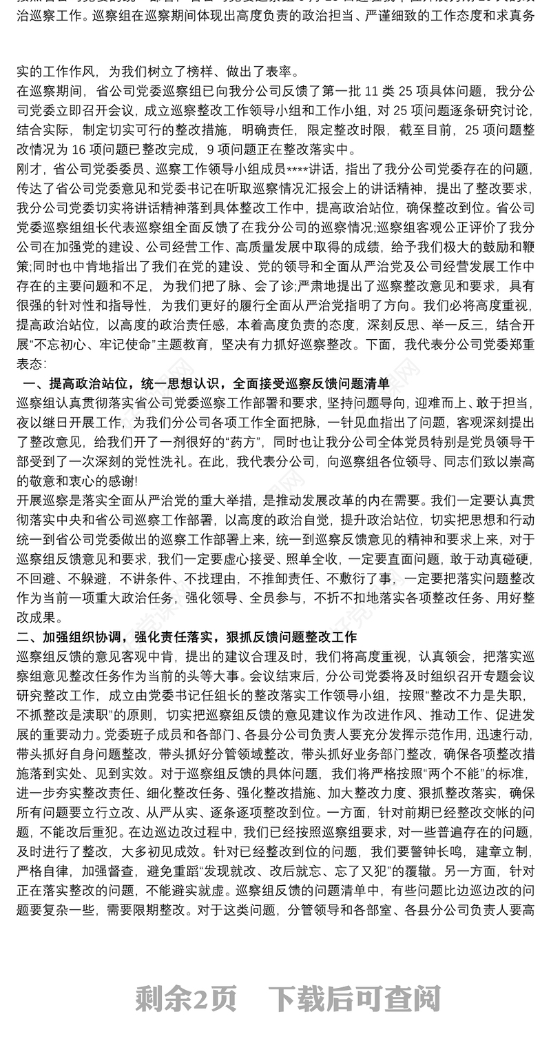 党支部书记巡察反馈表态发言