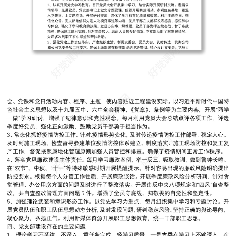 2022年度组织生活会党支部委员会年度工作报告