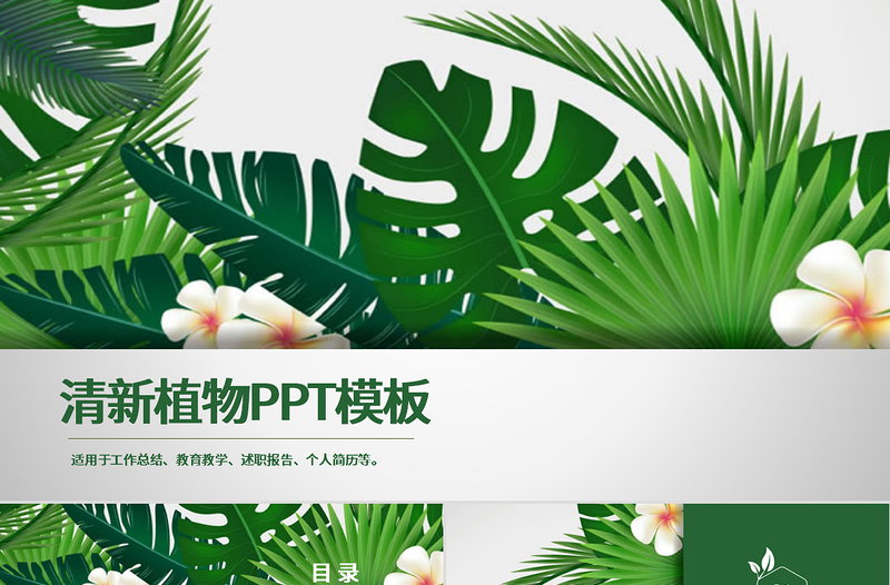 清新植物ppt模板-含多个ppt元素