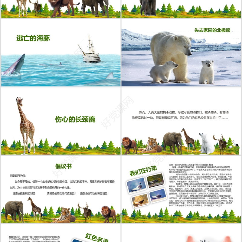 卡通风格世界动物保护日PPT模版