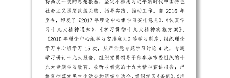 **局落实全面从严治党主体责任情况自查报告