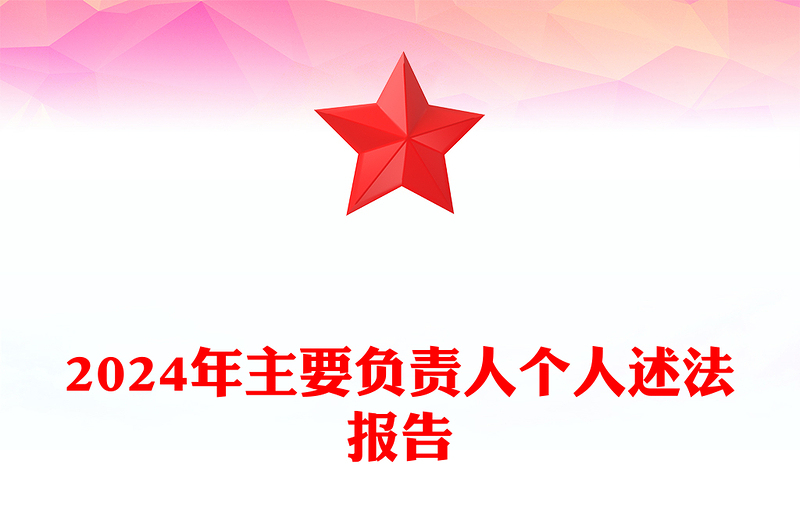 2024年主要负责人个人述法报告下载