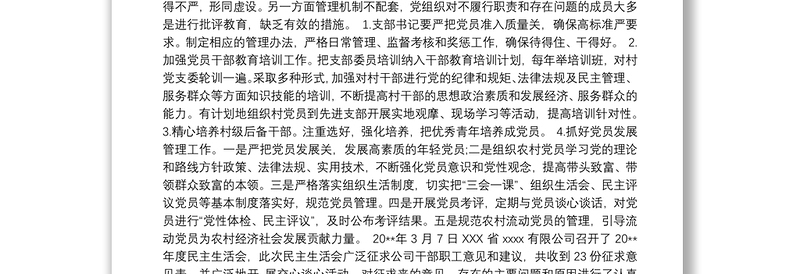 党支部问题清单及整改措施