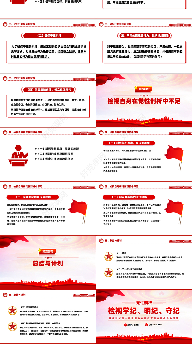 党政风2024年党性剖析之检视学纪明纪守纪PPT