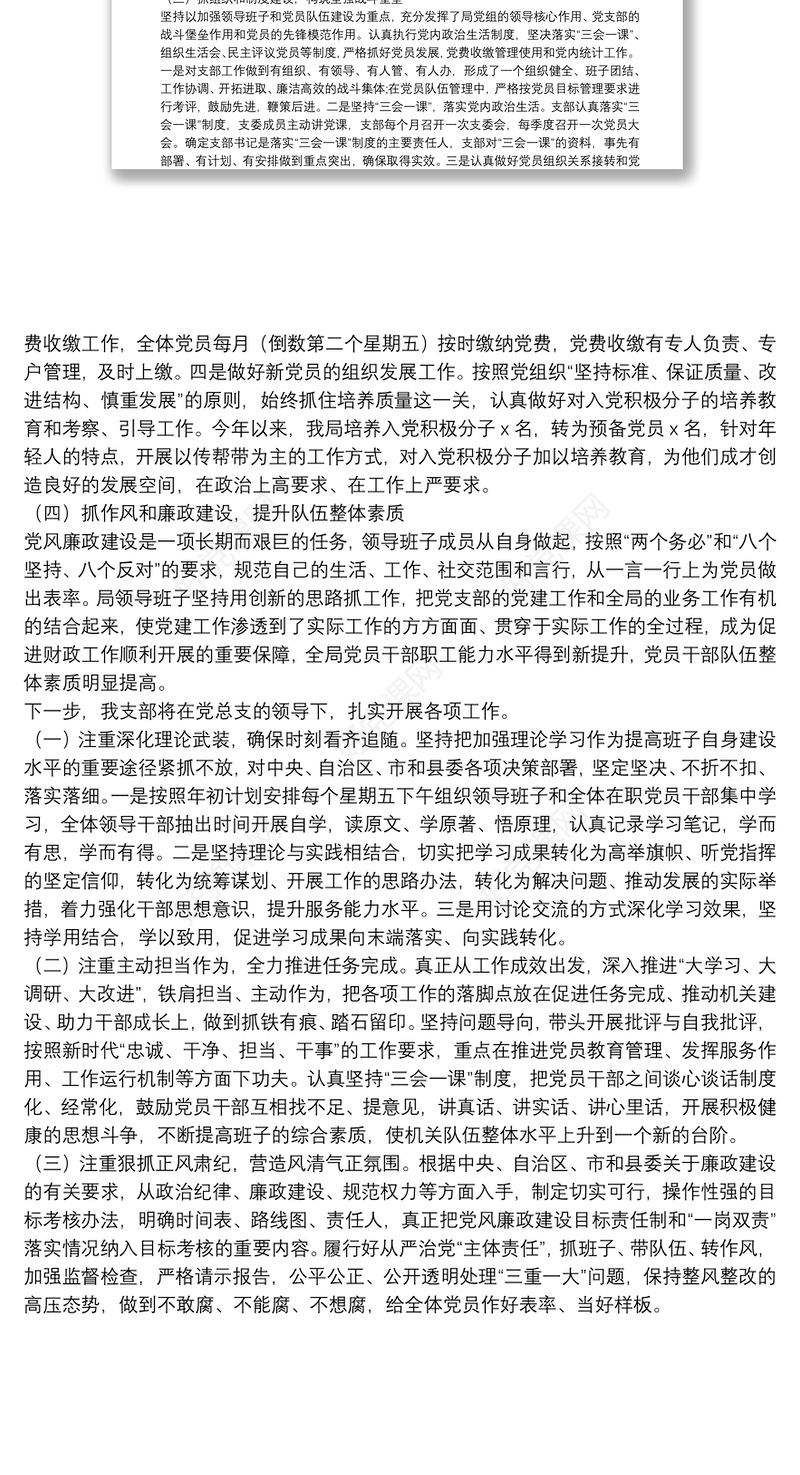 X县财政局党支部党建工作汇报