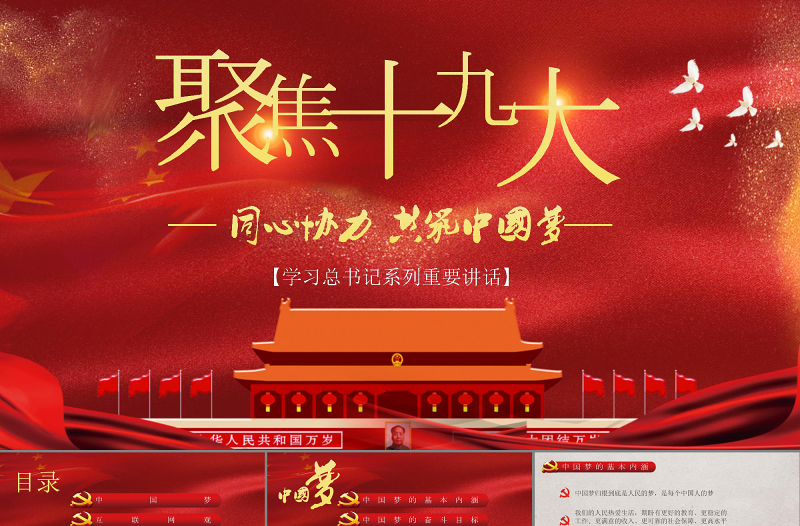 聚焦十九大十九大报告精细解读