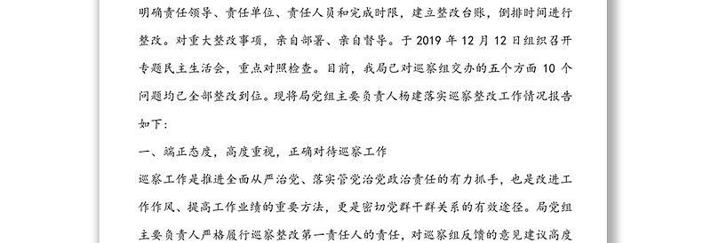 关于党组主要负责人落实巡察整改工作的情况报告