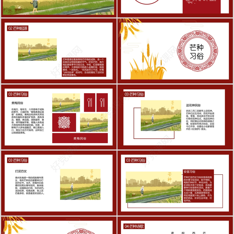 中国传统二十四节气之芒种PPT模板