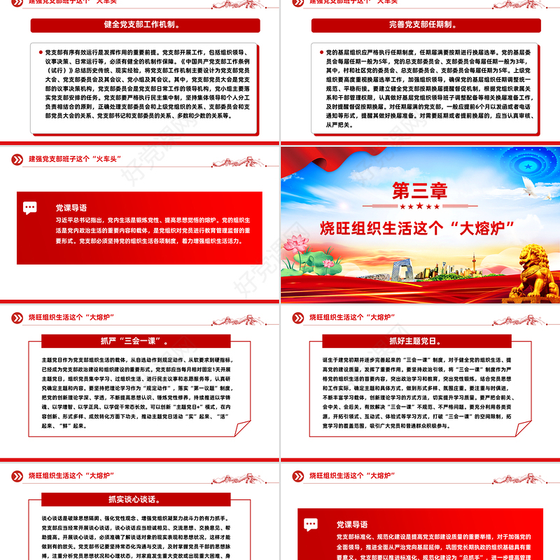 2025全面提高新时代党支部建设质量PPT党课下载