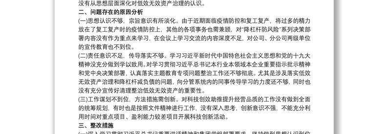 低效无效资产治理专项巡视整改专题民主生活会发言稿材料例文