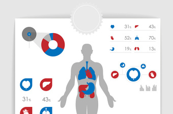 10款矢量人体结构统计图表PPT