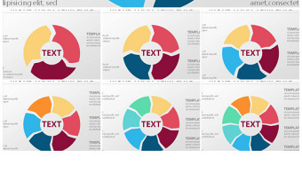 精美圆环形流程图PPT图表