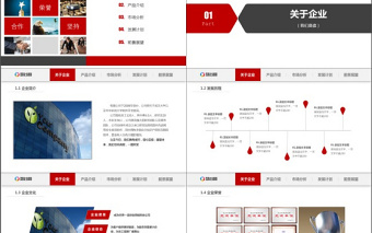 简洁实用公司简介PPT