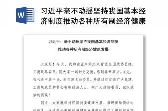 习近平毫不动摇坚持我国基本经济制度推动各种所有制经济健康发展