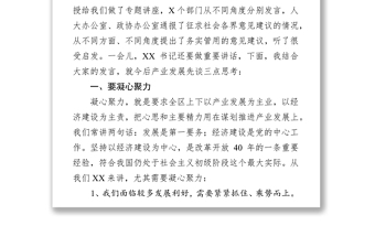 在全区工作务虚会上的发言提纲