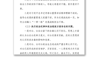 巡视整改专题民主生活会发言提纲