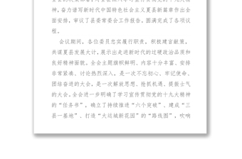 在县委十四届四次全会第二次全体会议上的讲话