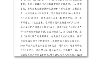 向自治区党委巡视组的工作汇报