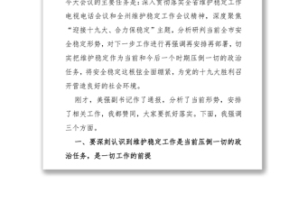 在全市维护稳定工作会议上的讲话