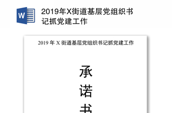 2019年X街道基层党组织书记抓党建工作