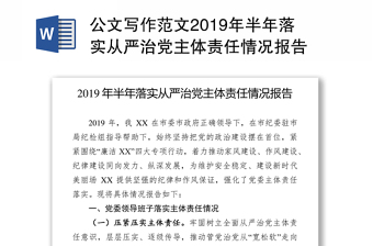 公文写作范文2019年半年落实从严治党主体责任情况报告