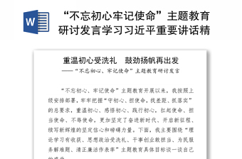 “不忘初心牢记使命”主题教育研讨发言学习习近平重要讲话精神