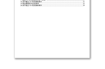 党支部成立后基本工作如何做全套资料党支部工作总结